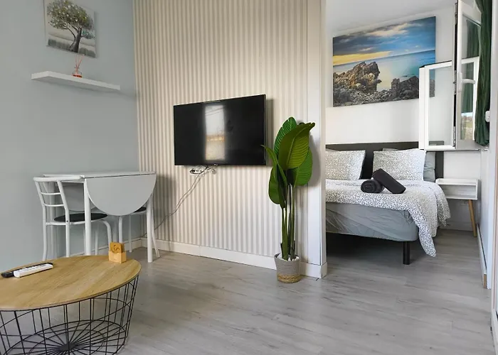 Cozy In دينايا