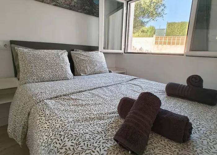 Cozy In دينايا